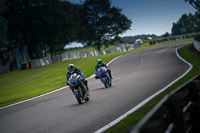 anglesey;brands-hatch;cadwell-park;croft;donington-park;enduro-digital-images;event-digital-images;eventdigitalimages;mallory;no-limits;oulton-park;peter-wileman-photography;racing-digital-images;silverstone;snetterton;trackday-digital-images;trackday-photos;vmcc-banbury-run;welsh-2-day-enduro